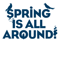 Logo Spring is all around